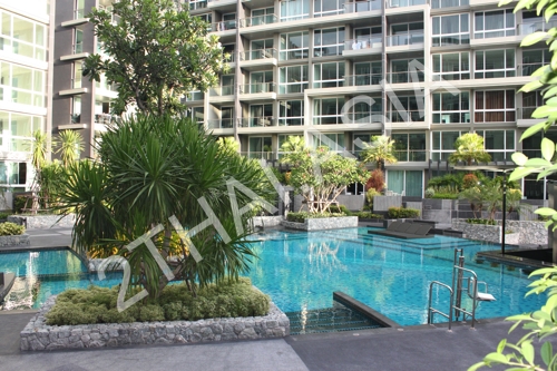 Apus Condominium, Pattaya, Central Pattaya - photo, price, location map